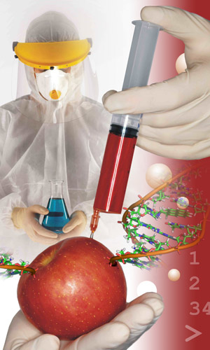 ГМО Генномодифицированные продукты, Овощь - помидор, Ученый - химик в лаборатории.