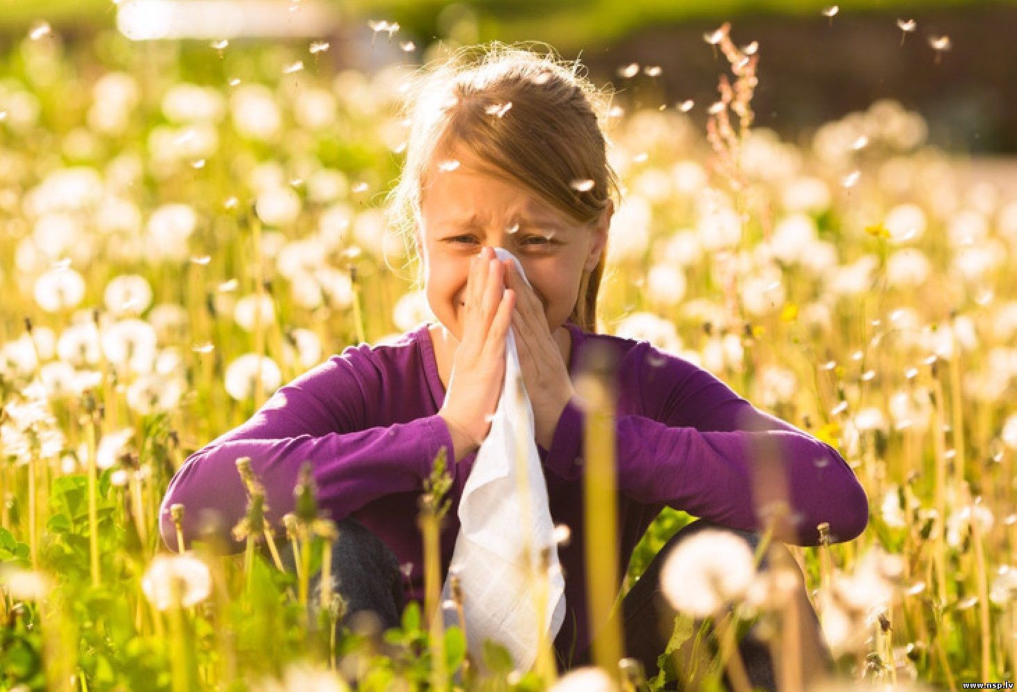 Как лечить аллергию в домашних условиях